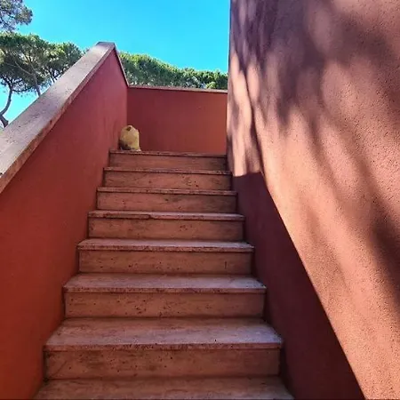 Ferienwohnung La Casa Del Mare Rosolina Mare Exterior foto